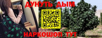 дмт Краснодар