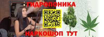ешки Краснознаменск