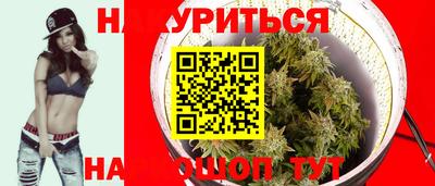 дмт Краснодар
