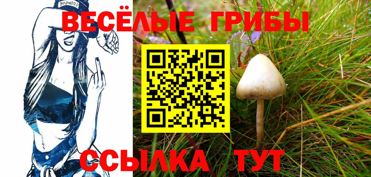 Галлюциногенные грибы Cubensis Карталы